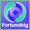 Logo da FORTUNABIG